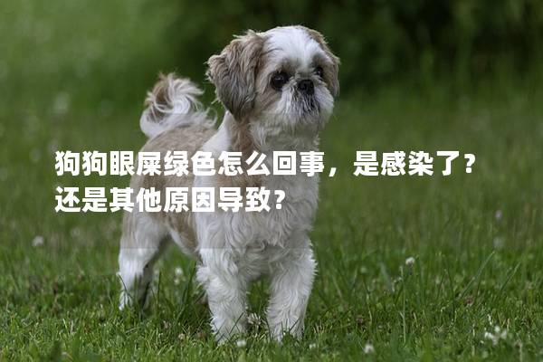 狗狗眼屎綠色怎么回事，是感染了？還是其他原因?qū)е拢?></em><p>狗狗眼屎綠色怎么回事，是感染了？還是其他原因?qū)е拢?/p><span>2025-03-20</span></a></li><li><a title=