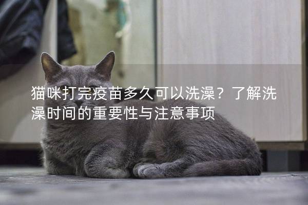 貓咪打完疫苗多久可以洗澡？了解洗澡時間的重要性與注意事項