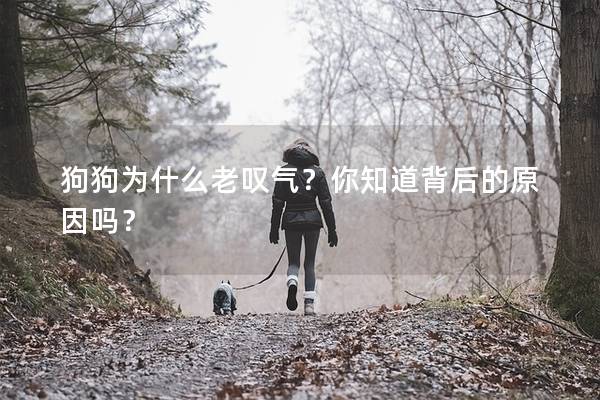 狗狗為什么老嘆氣？你知道背后的原因嗎？