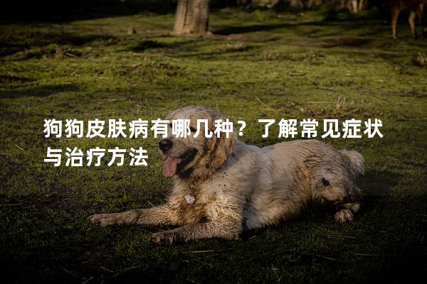狗狗皮膚病有哪幾種?了解常見癥狀與治療方法 狗狗皮膚病有哪幾種?了解常見癥狀與治療方法