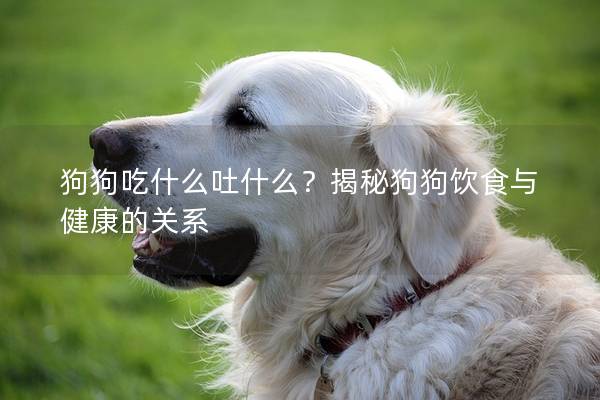 狗狗吃什么吐什么？揭秘狗狗飲食與健康的關系