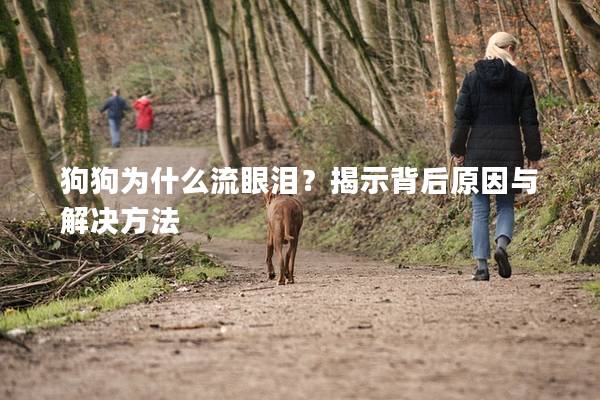 狗狗為什么流眼淚？揭示背后原因與解決方法