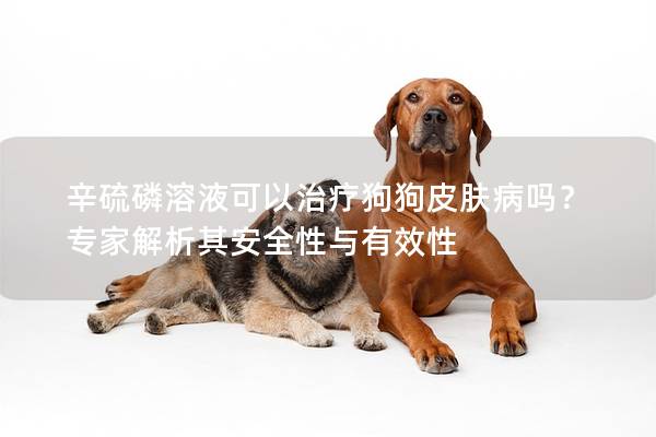 辛硫磷溶液可以治療狗狗皮膚病嗎?專家解析其安全性與有效性 辛硫磷溶液可以治療狗狗皮膚病嗎?專家解析其安全性與有效性