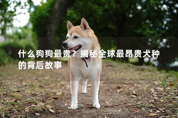 什么狗狗最貴？揭秘全球最昂貴犬種的背后故事