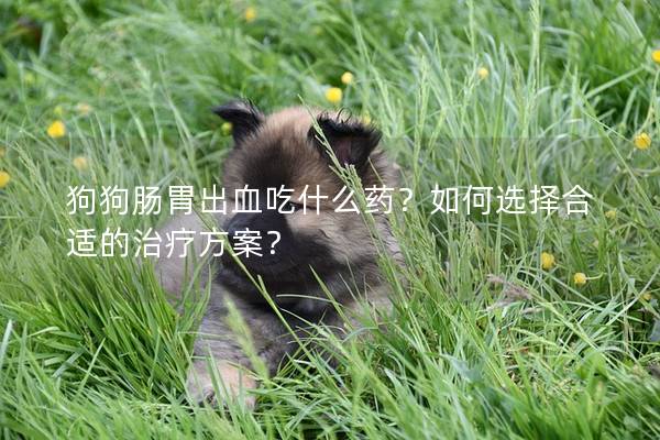 狗狗腸胃出血吃什么藥？如何選擇合適的治療方案？