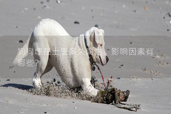 狗狗埋在土里多久腐爛,影響因素有哪些? 狗狗埋在土里多久腐爛,影響因素有哪些?