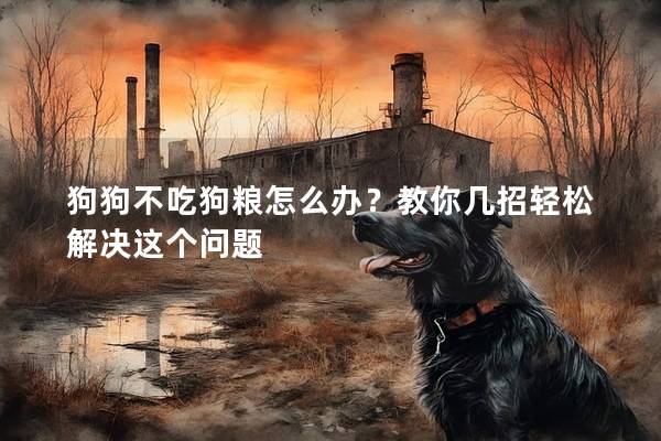 狗狗不吃狗糧怎么辦？教你幾招輕松解決這個問題
