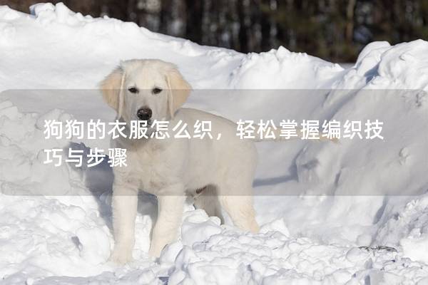 狗狗的衣服怎么織，輕松掌握編織技巧與步驟