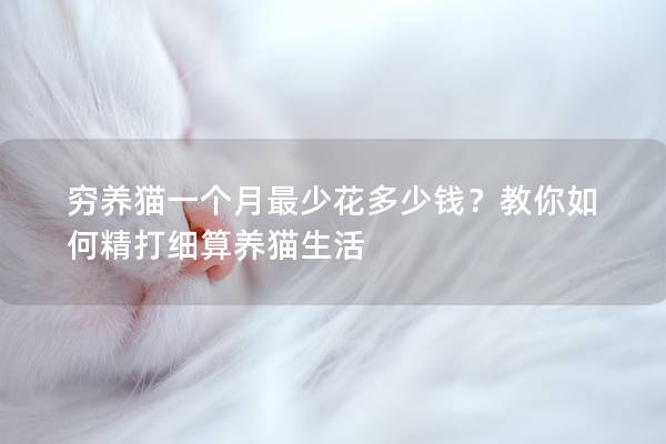 窮養貓一個月最少花多少錢？教你如何精打細算養貓生活