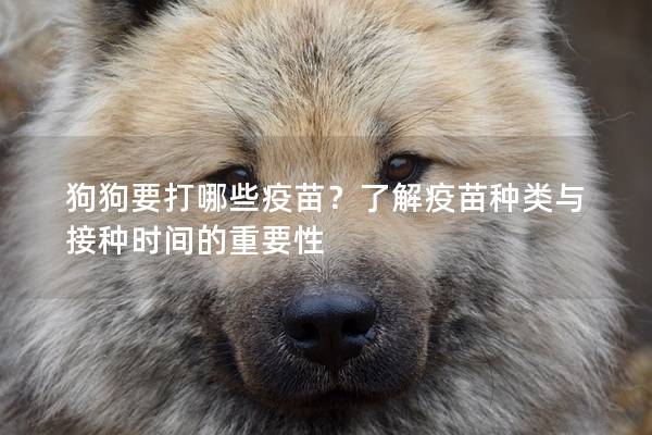 狗狗要打哪些疫苗？了解疫苗種類與接種時(shí)間的重要性
