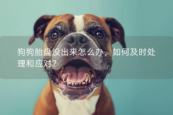 狗狗胎盤沒出來怎么辦，如何及時處理和應對？