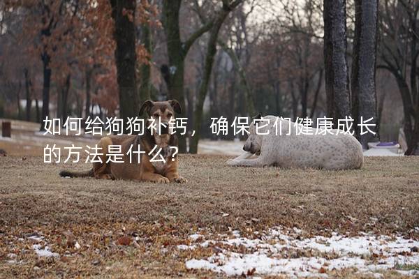 如何給狗狗補鈣，確保它們健康成長的方法是什么？