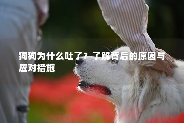 狗狗為什么吐了?了解背后的原因與應對措施 狗狗為什么吐了?了解背后的原因與應對措施