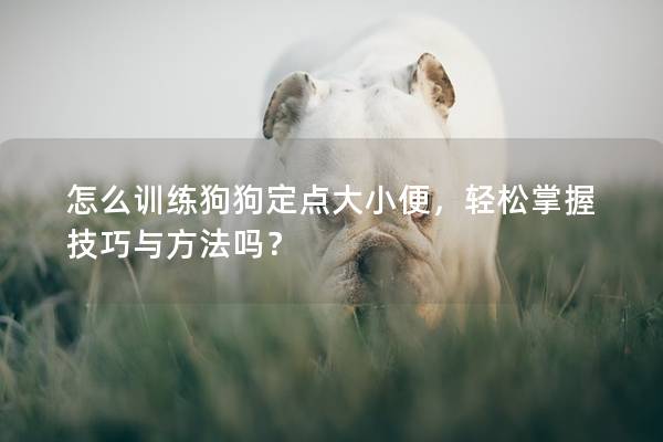 怎么訓練狗狗定點大小便，輕松掌握技巧與方法嗎？