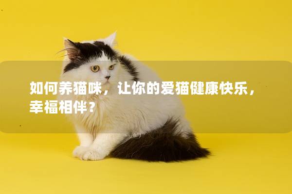 如何養貓咪，讓你的愛貓健康快樂，幸福相伴？