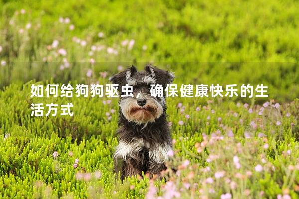 如何給狗狗驅蟲,確保健康快樂的生活方式