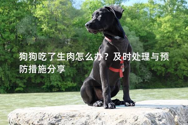 狗狗吃了生肉怎么辦？及時處理與預防措施分享