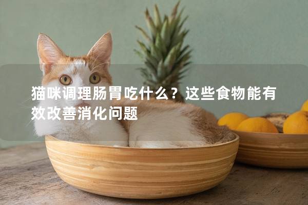 貓咪調(diào)理腸胃吃什么？這些食物能有效改善消化問(wèn)題