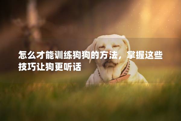 怎么才能訓(xùn)練狗狗的方法,掌握這些技巧讓狗更聽(tīng)話(huà) 怎么才能訓(xùn)練狗狗的方法,掌握這些技巧讓狗更聽(tīng)話(huà)