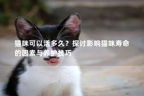 貓咪可以活多久?探討影響貓咪壽命的因素與養護技巧