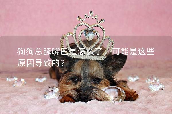 狗狗總舔嘴巴是怎么了，可能是這些原因?qū)е碌模?></em><p>狗狗總舔嘴巴是怎么了，可能是這些原因?qū)е碌模?/p><span>2025-03-07</span></a></li><li><a title=