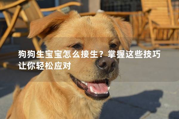 狗狗生寶寶怎么接生？掌握這些技巧讓你輕松應對