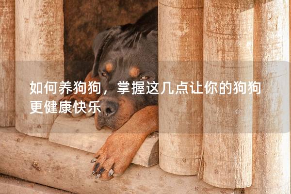 如何養(yǎng)狗狗，掌握這幾點(diǎn)讓你的狗狗更健康快樂