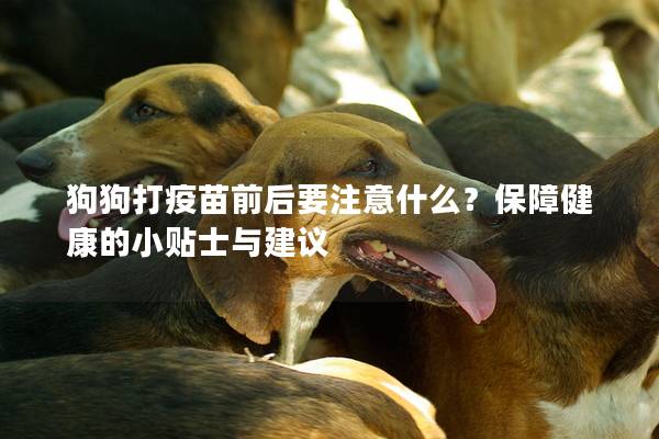 狗狗打疫苗前后要注意什么?保障健康的小貼士與建議