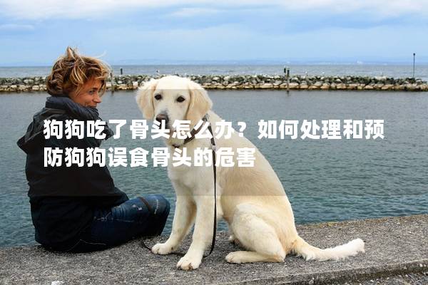 狗狗吃了骨頭怎么辦？如何處理和預防狗狗誤食骨頭的危害