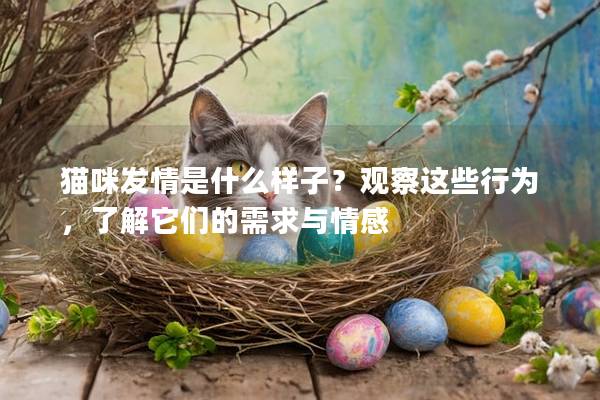 貓咪發(fā)情是什么樣子？觀察這些行為，了解它們的需求與情感