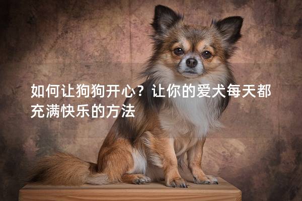 如何讓狗狗開心？讓你的愛犬每天都充滿快樂的方法
