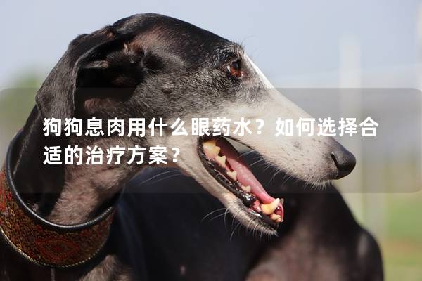 狗狗息肉用什么眼藥水？如何選擇合適的治療方案？