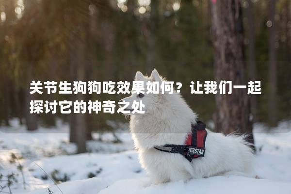 關節生狗狗吃效果如何？讓我們一起探討它的神奇之處