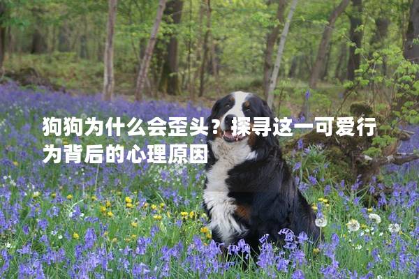 狗狗為什么會(huì)歪頭？探尋這一可愛行為背后的心理原因