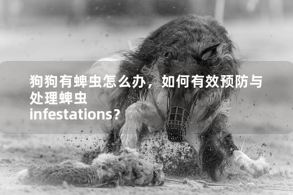 狗狗有蜱蟲怎么辦，如何有效預防與處理蜱蟲 infestations？
