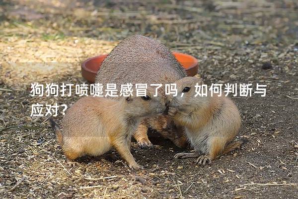 狗狗打噴嚏是感冒了嗎,如何判斷與應對? 狗狗打噴嚏是感冒了嗎,如何判斷與應對?