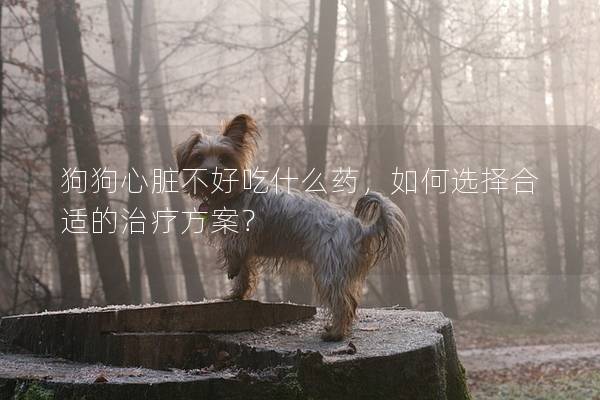 狗狗心臟不好吃什么藥，如何選擇合適的治療方案？