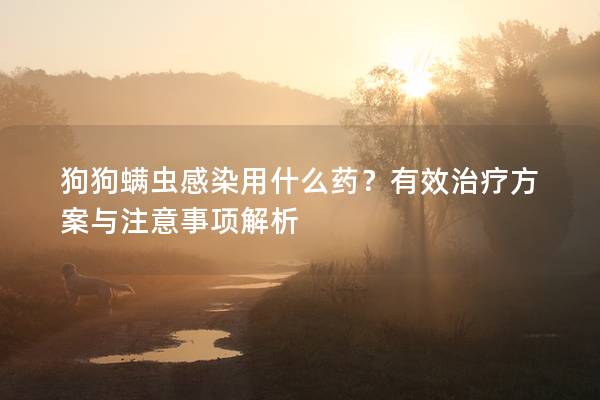 狗狗螨蟲感染用什么藥？有效治療方案與注意事項(xiàng)解析