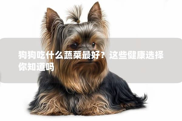 狗狗吃什么蔬菜最好？這些健康選擇你知道嗎