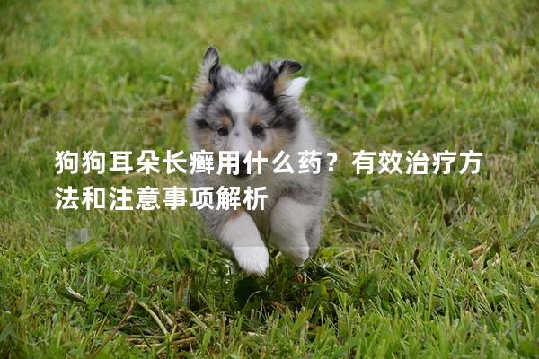 狗狗耳朵長癬用什么藥？有效治療方法和注意事項解析