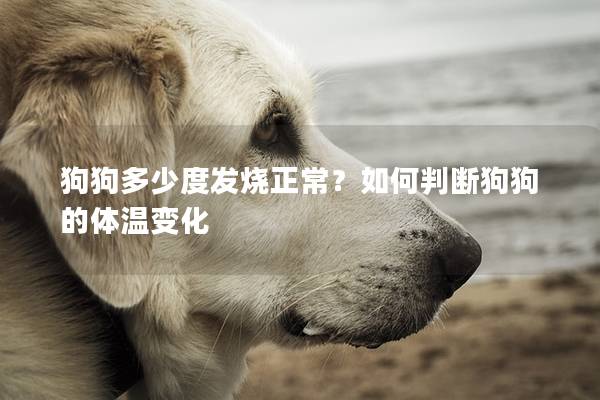 狗狗多少度發(fā)燒正常?如何判斷狗狗的體溫變化 狗狗多少度發(fā)燒正常?如何判斷狗狗的體溫變化