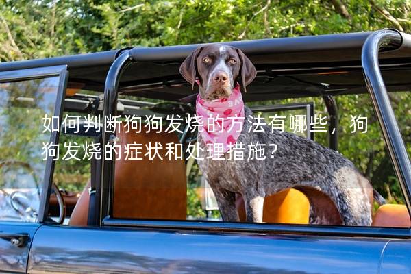 如何判斷狗狗發(fā)燒的方法有哪些，狗狗發(fā)燒的癥狀和處理措施？