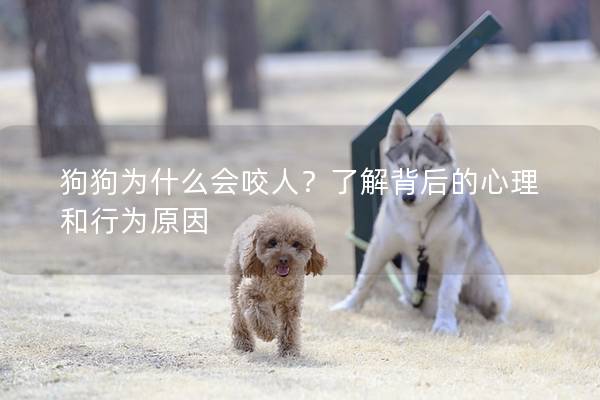 狗狗為什么會咬人？了解背后的心理和行為原因