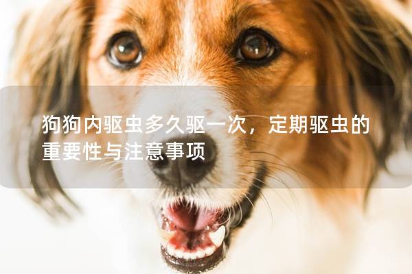 狗狗內(nèi)驅(qū)蟲多久驅(qū)一次，定期驅(qū)蟲的重要性與注意事項(xiàng)