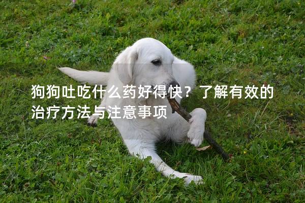 狗狗吐吃什么藥好得快？了解有效的治療方法與注意事項