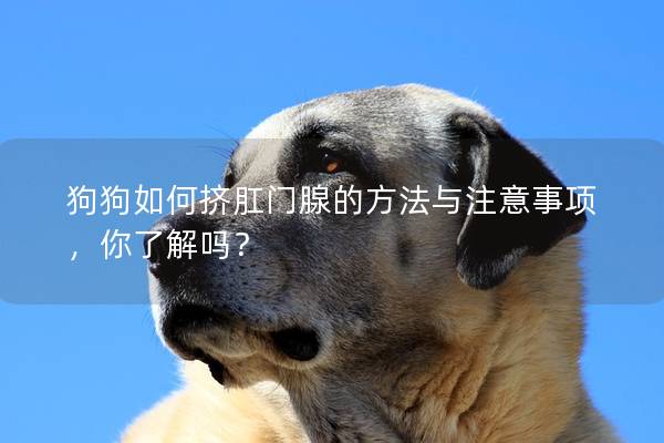 狗狗如何擠肛門腺的方法與注意事項,你了解嗎? 狗狗如何擠肛門腺的方法與注意事項,你了解嗎?