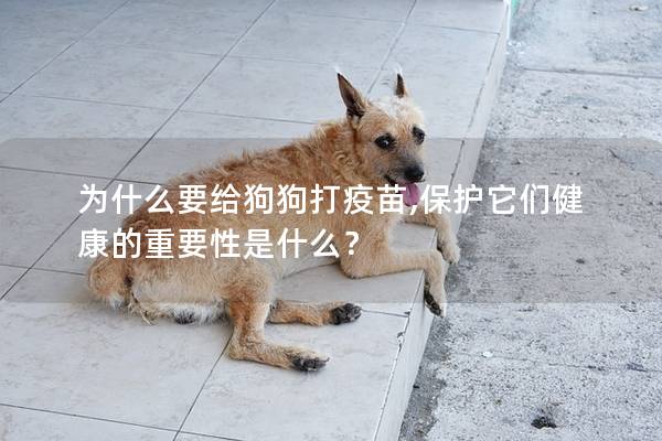 為什么要給狗狗打疫苗,保護它們健康的重要性是什么？