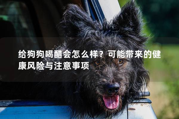 給狗狗喝醋會怎么樣？可能帶來的健康風險與注意事項