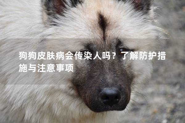 狗狗皮膚病會傳染人嗎?了解防護措施與注意事項 狗狗皮膚病會傳染人嗎?了解防護措施與注意事項