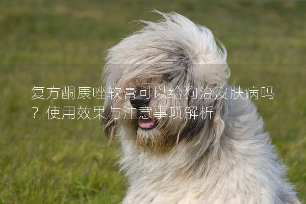 復方酮康唑軟膏可以給狗治皮膚病嗎?使用效果與注意事項解析 復方酮康唑軟膏可以給狗治皮膚病嗎?使用效果與注意事項解析